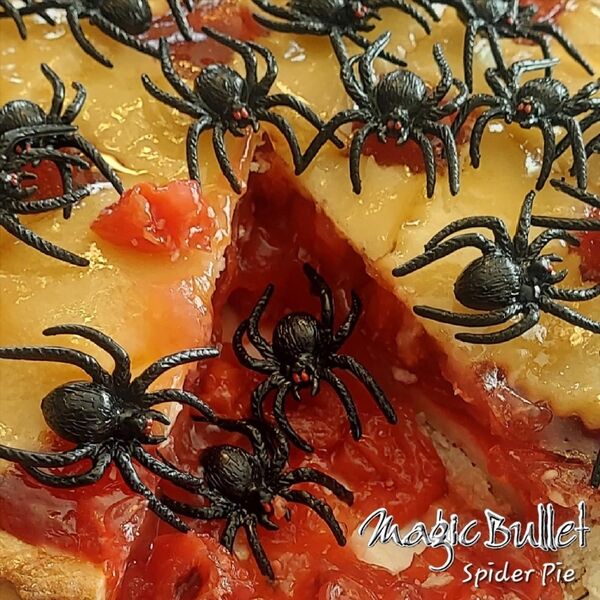 Cover art for Spider Pie